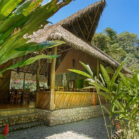 Esquinas Rainforest Lodge Golfito Bagian luar foto