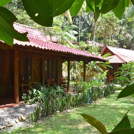 Esquinas Rainforest Lodge Golfito Bagian luar foto