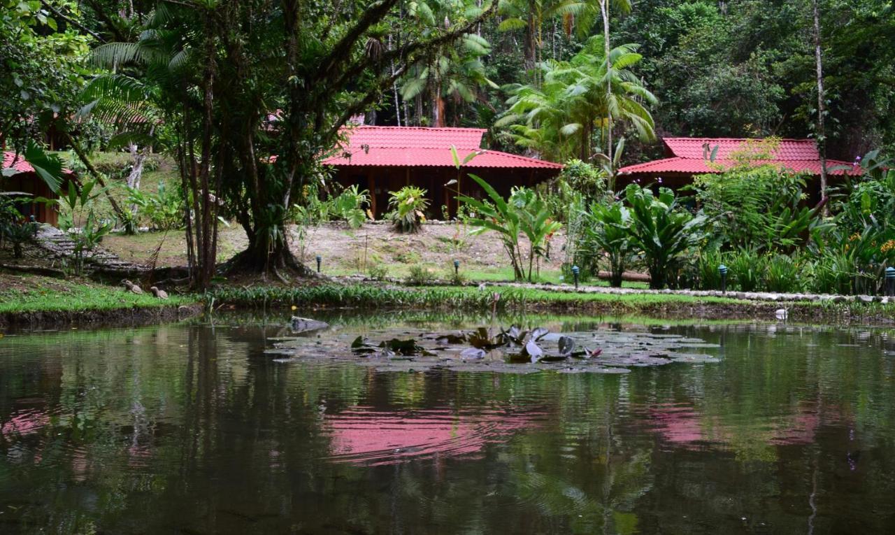 Esquinas Rainforest Lodge Golfito Bagian luar foto