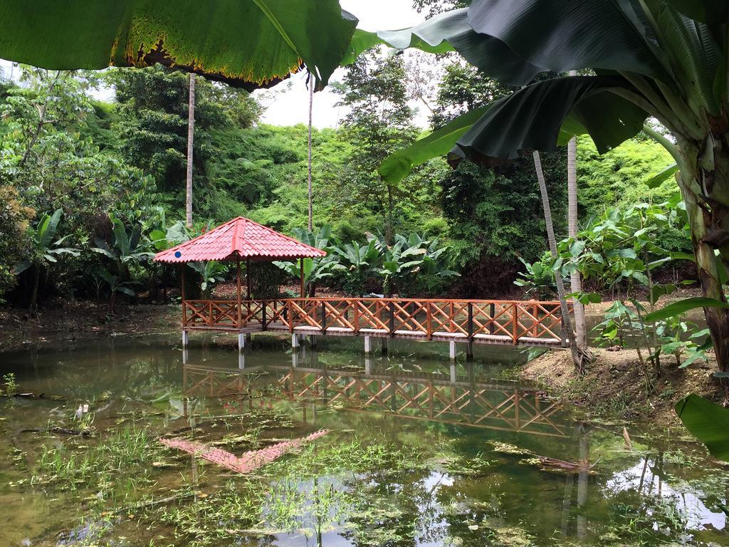 Esquinas Rainforest Lodge Golfito Bagian luar foto