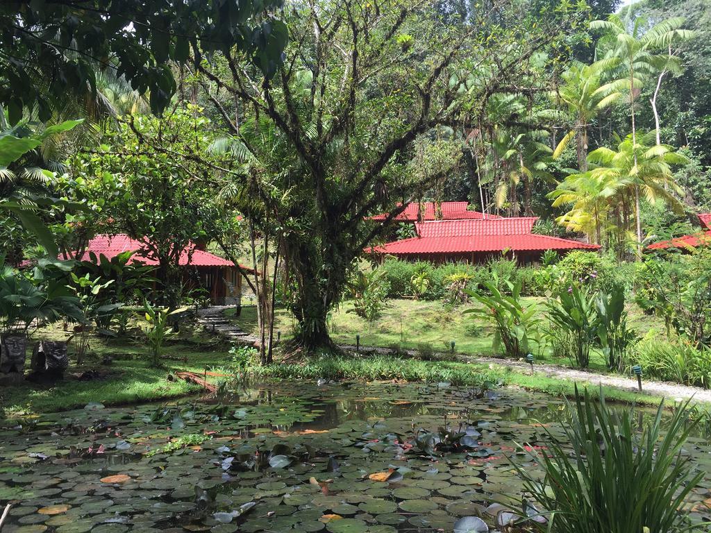 Esquinas Rainforest Lodge Golfito Bagian luar foto