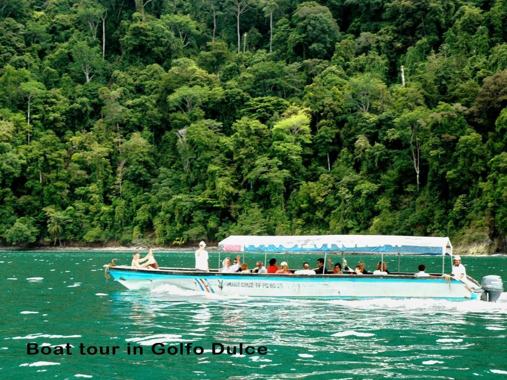 Esquinas Rainforest Lodge Golfito Bagian luar foto
