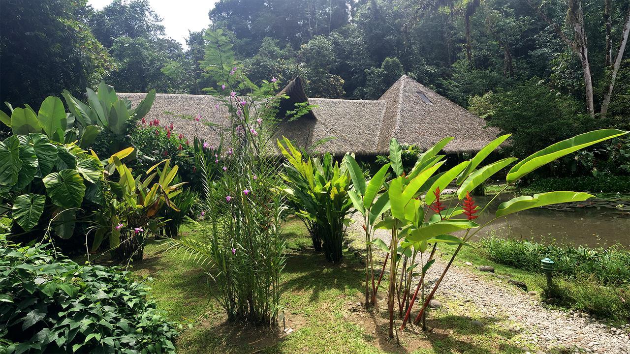 Esquinas Rainforest Lodge Golfito Bagian luar foto
