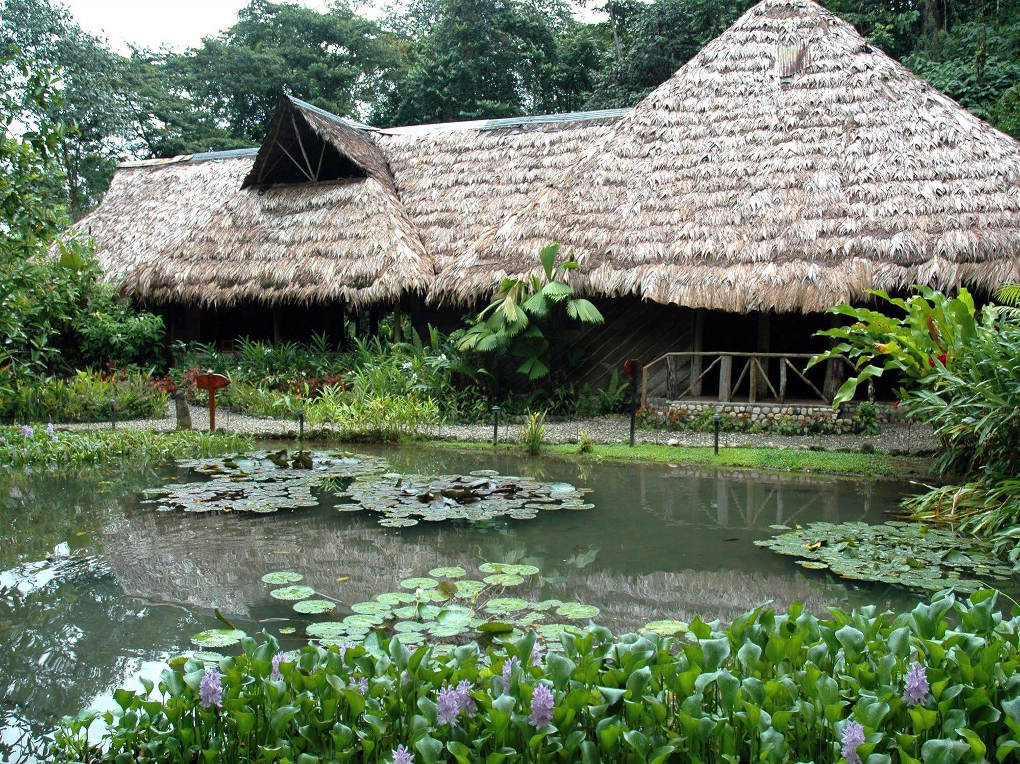 Esquinas Rainforest Lodge Golfito Bagian luar foto