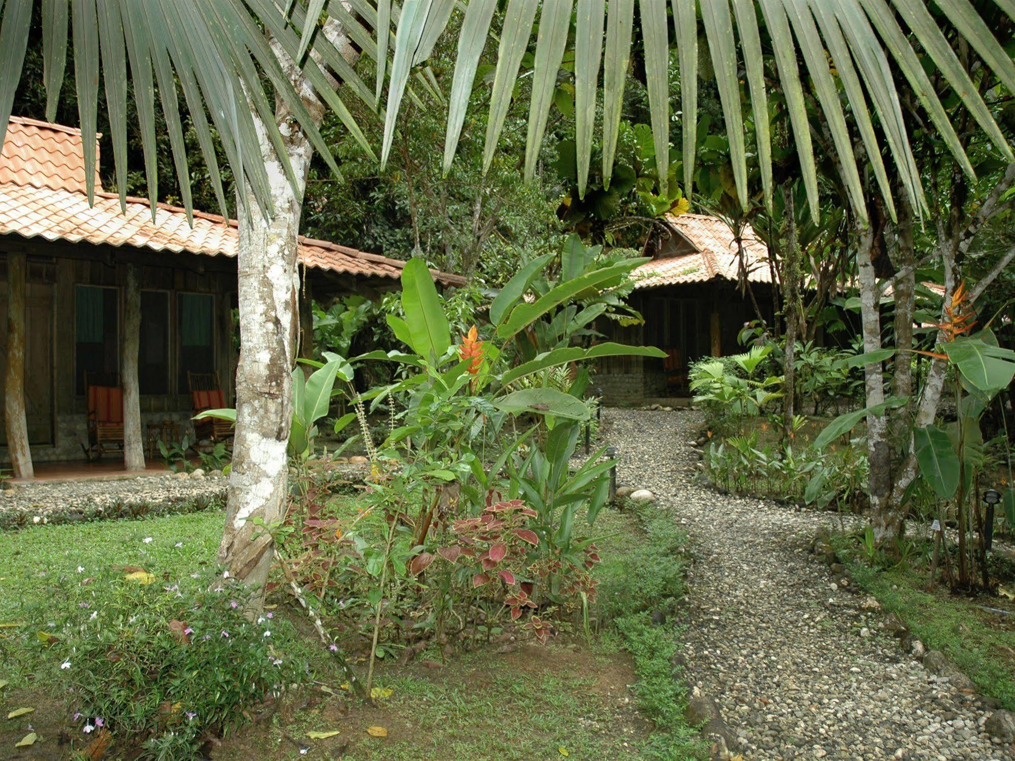Esquinas Rainforest Lodge Golfito Bagian luar foto