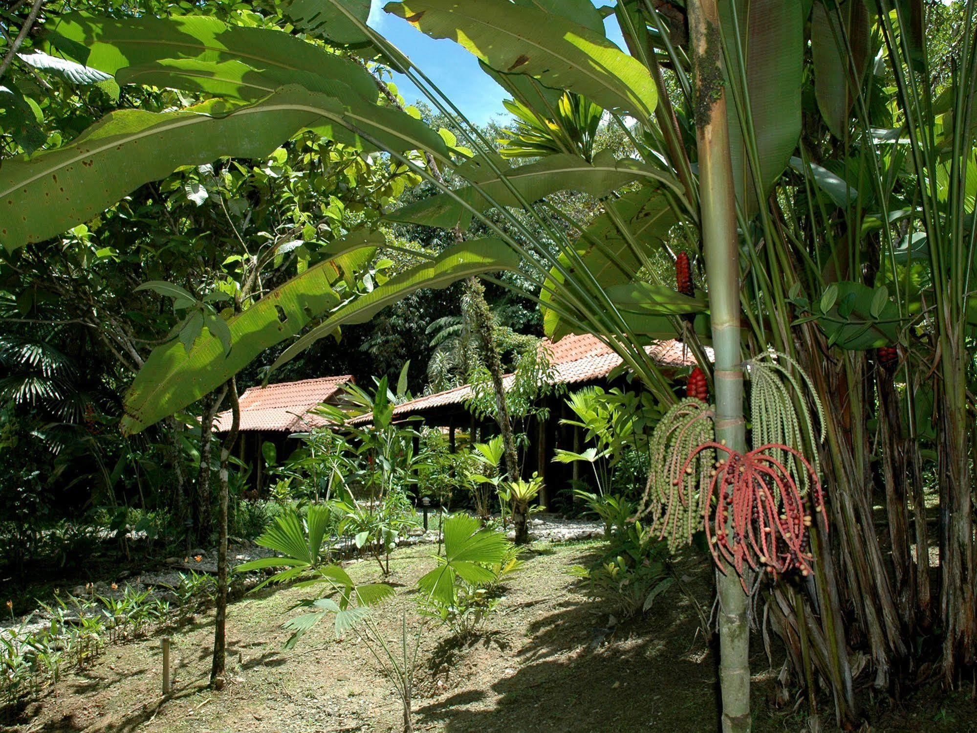 Esquinas Rainforest Lodge Golfito Bagian luar foto
