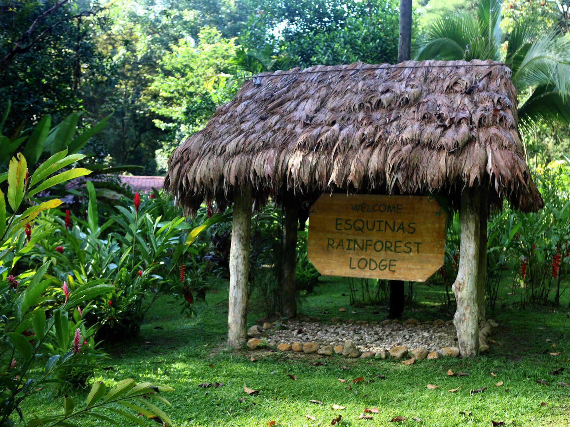 Esquinas Rainforest Lodge Golfito Bagian luar foto